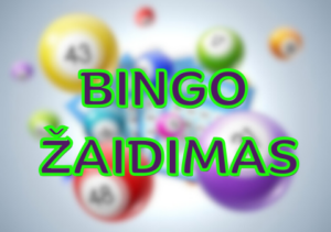 Bingo-žaidimas